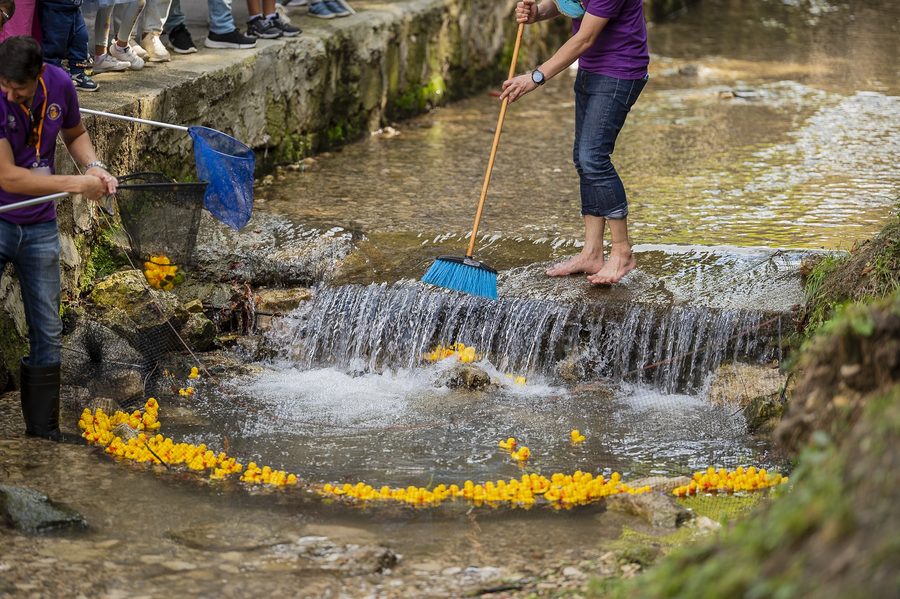 La sosire, sub pragul pârâului, rățuștele se adună într-o plasă; doi membri RT6 le strâng, unul cu plasa, altul desculț, cu o perie.